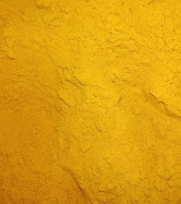 CURCUMA IN POLVERE