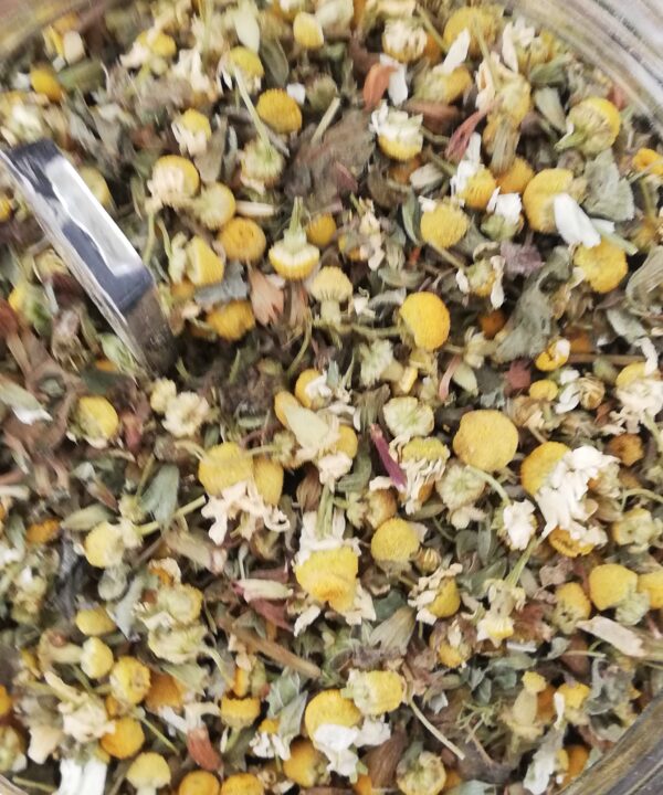 INFUSO DELLA NOTTE
