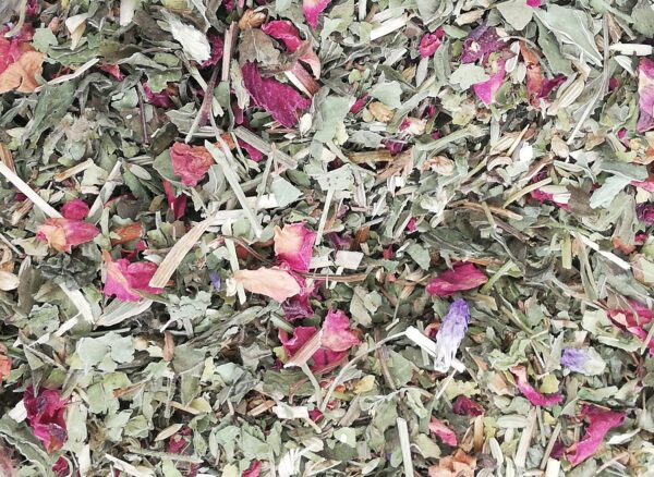 TISANA DOPO PASTO "DIGESTIVA"